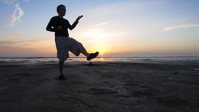 wing chun techniques